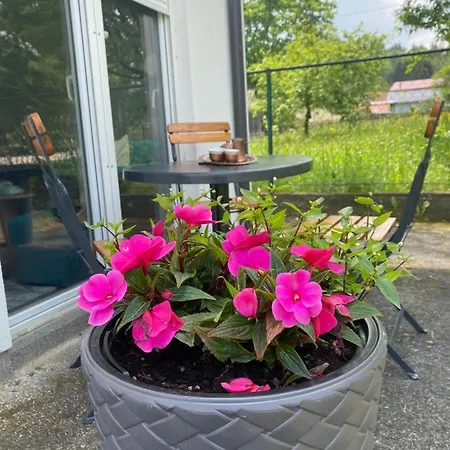 Weekend Joy * Visoko