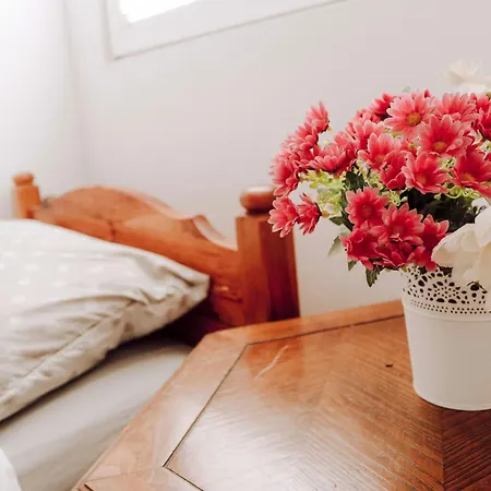 Weekend Joy Vikendica *